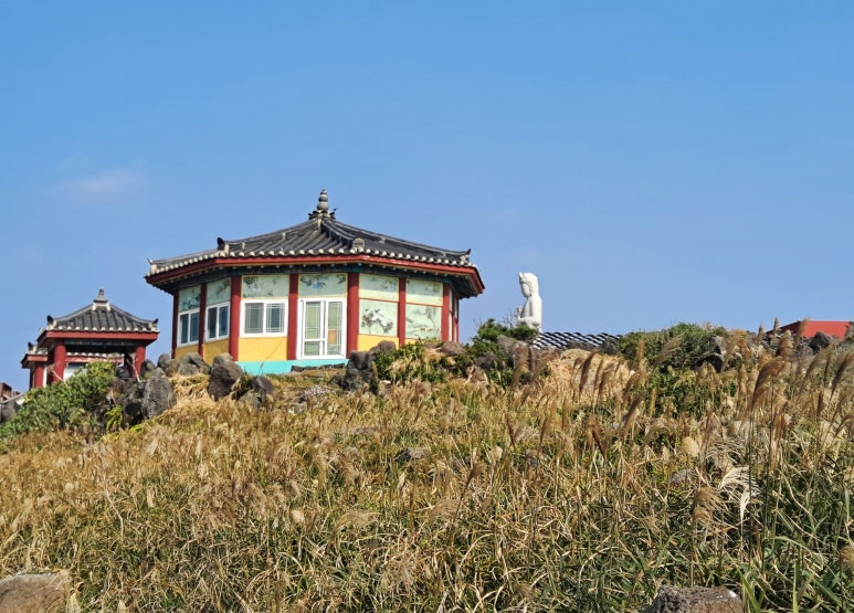 마라도최남단민박횟집 이미지