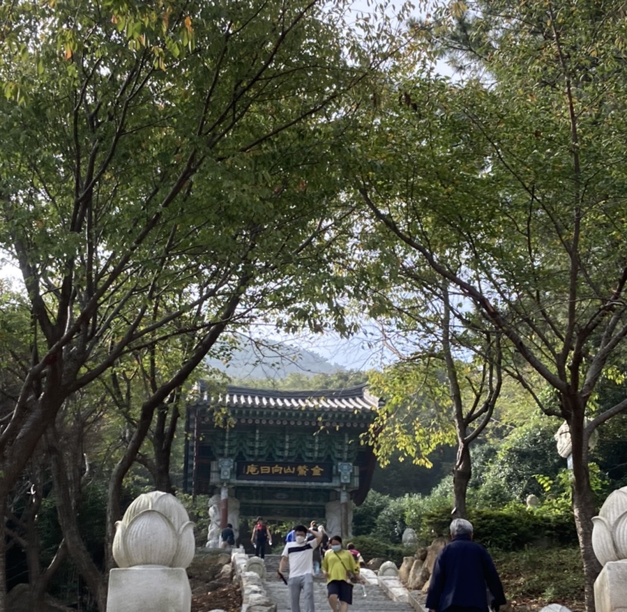 피읍 이미지