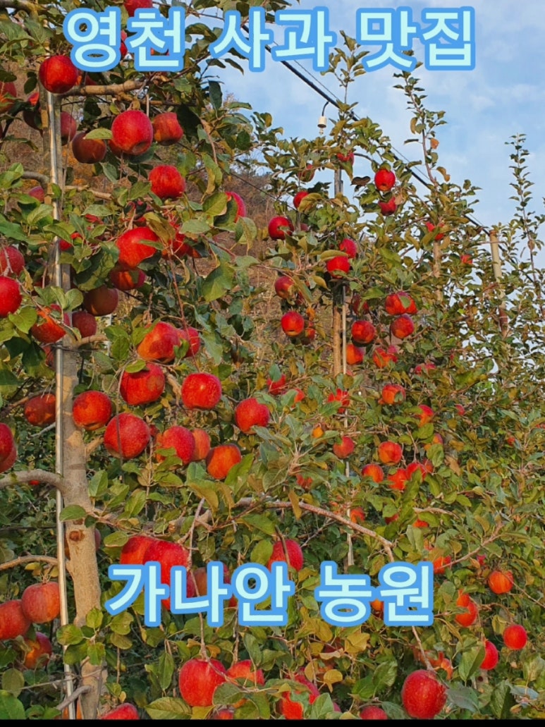 가나안농원 이미지