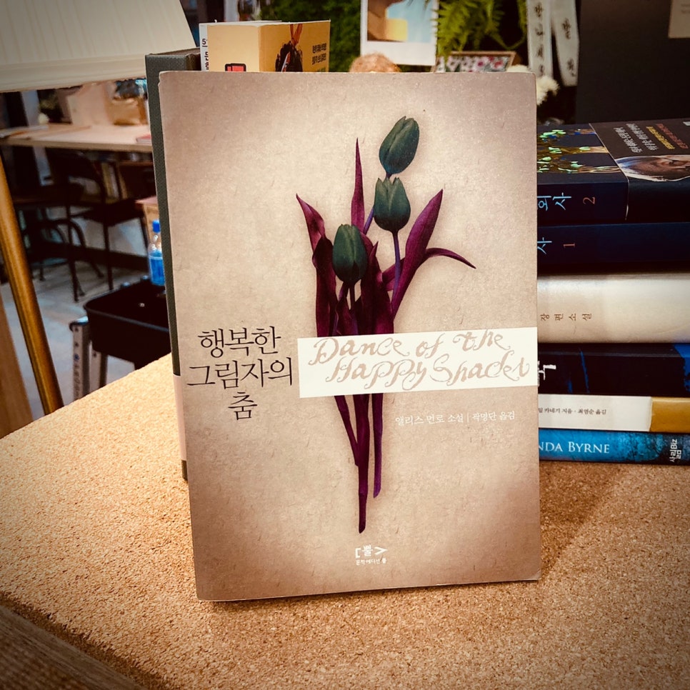 주식회사 리진 이미지