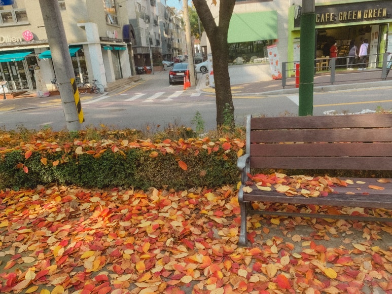 모호커피로스터스 이미지