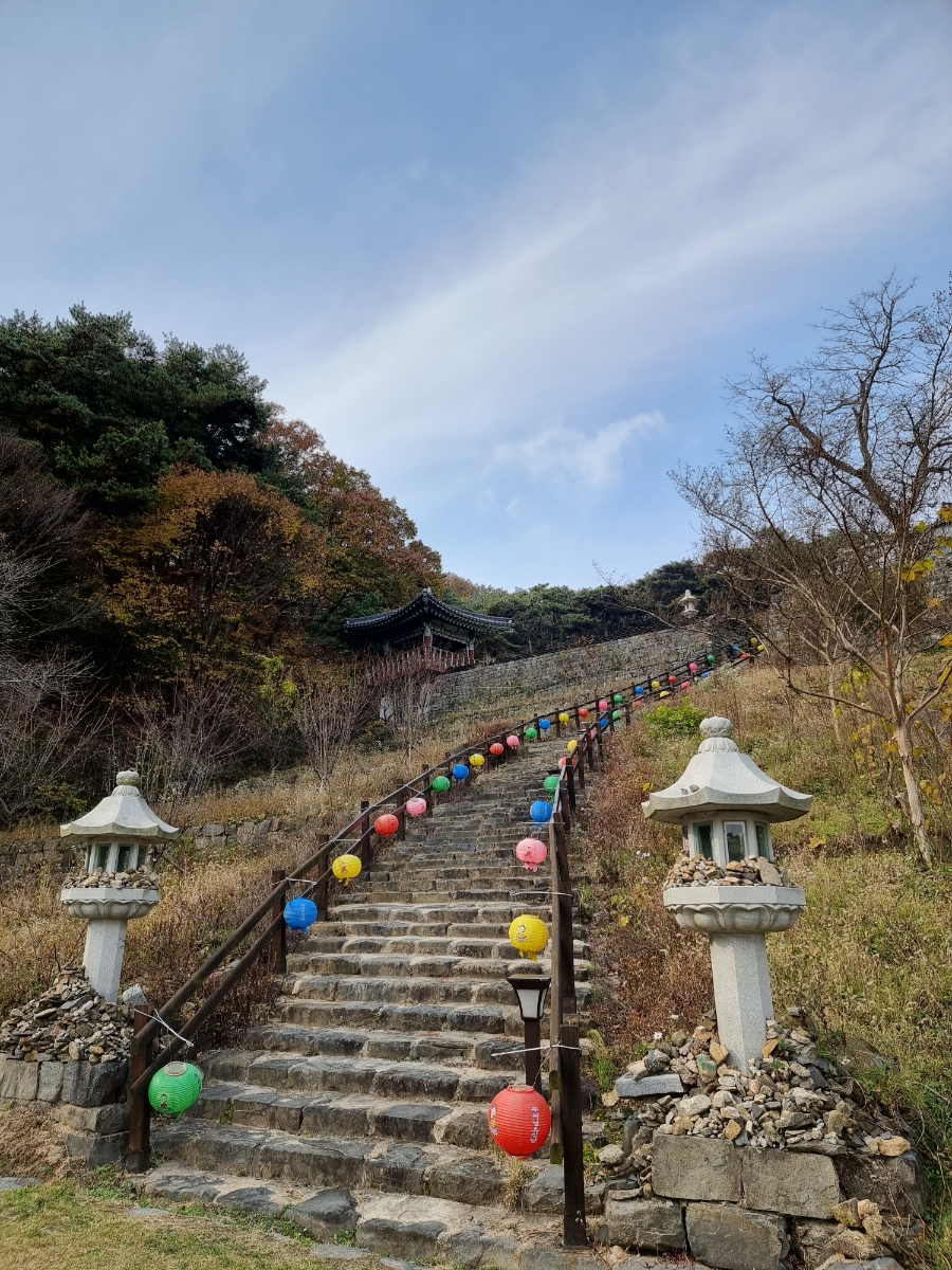 아담장 이미지
