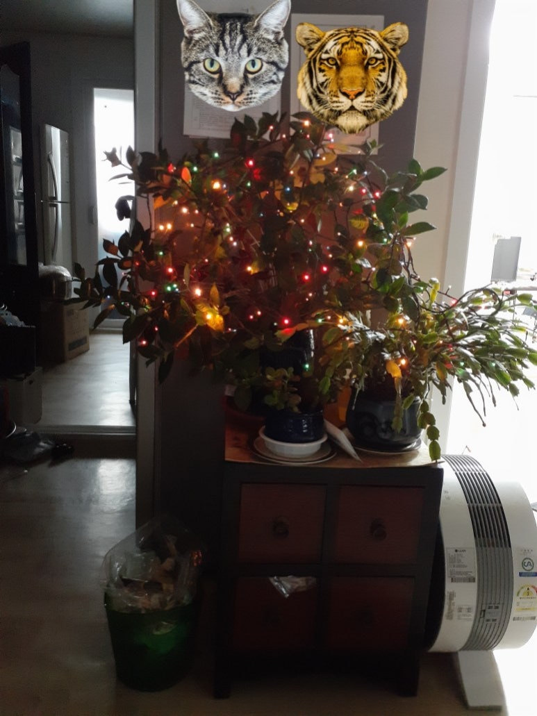 (주)토우 이미지
