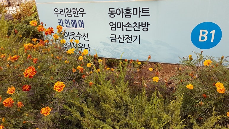 엄마손찬방 이미지