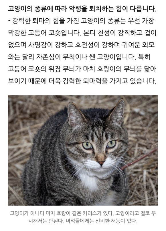 그사진관 이미지