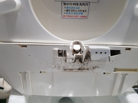 동백클린 이미지