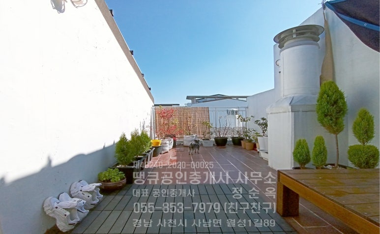 리가(LiGa) 이미지