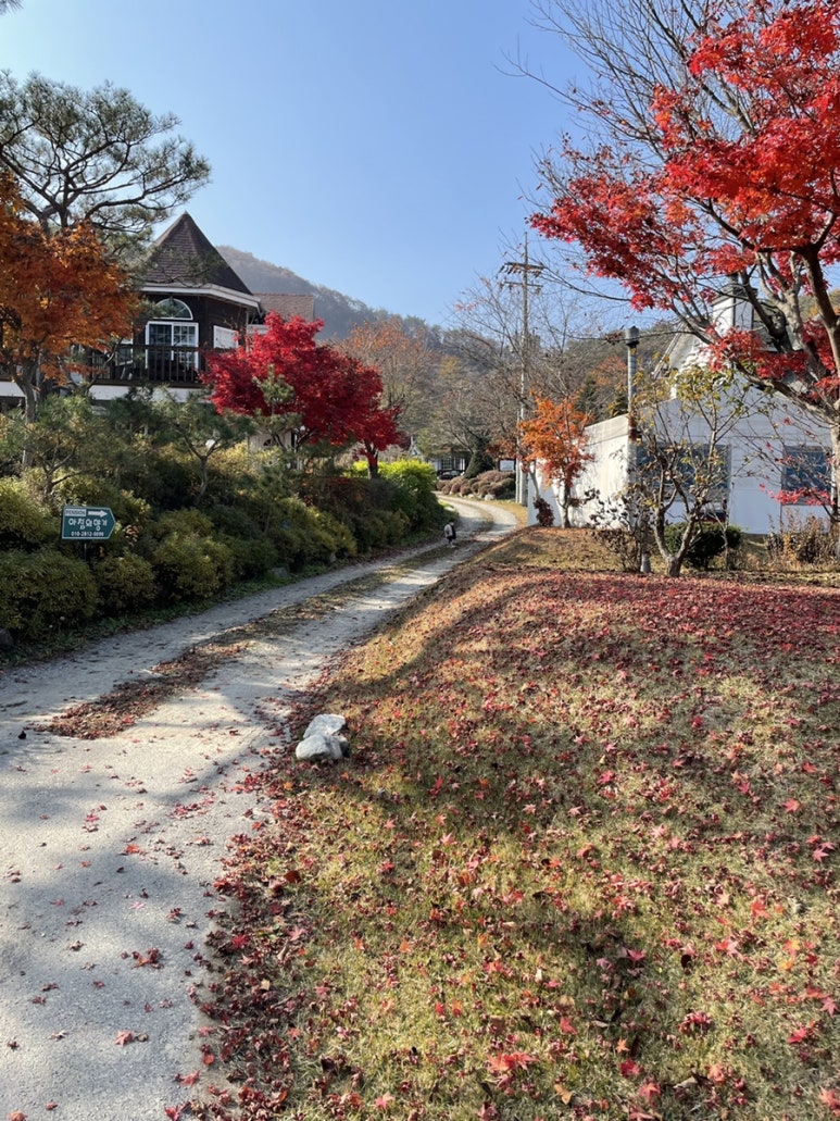 홍천강아침의향기펜션 이미지