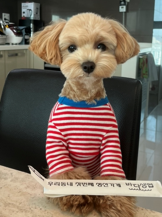 우리할매떡볶이동부 이미지