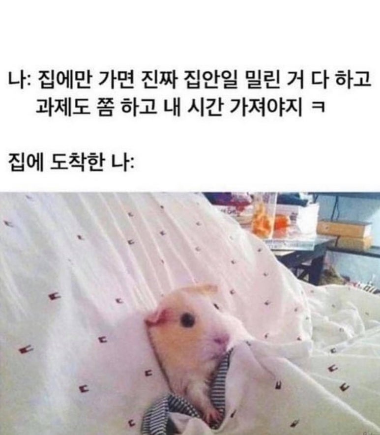 호랑이식당 이미지