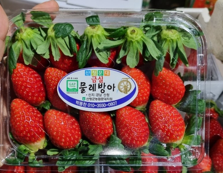 오롯광교 이미지