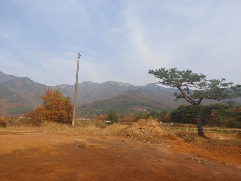 삼봉개발 이미지