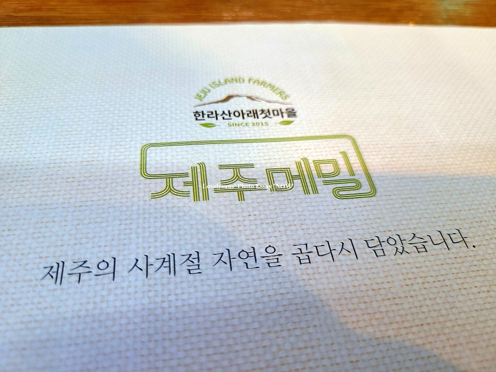 곱다시제주 이미지