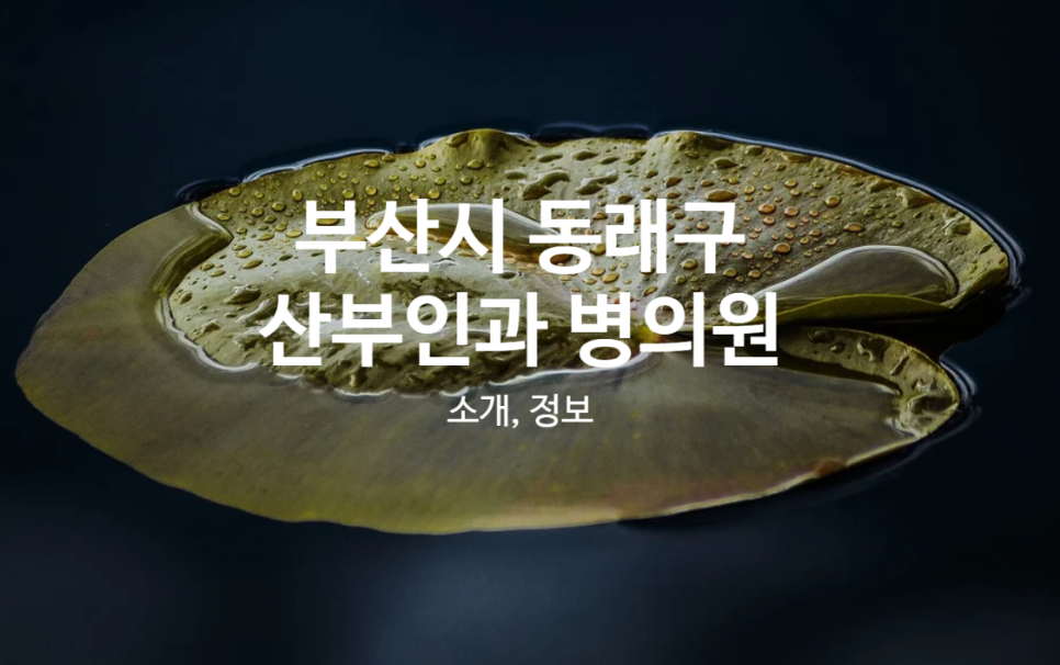 의료법인 강혜의료재단 온천사랑의 요양병원 이미지