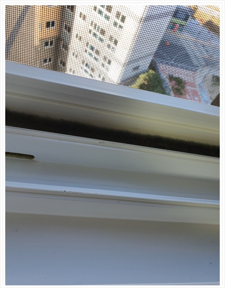 크린존 이미지