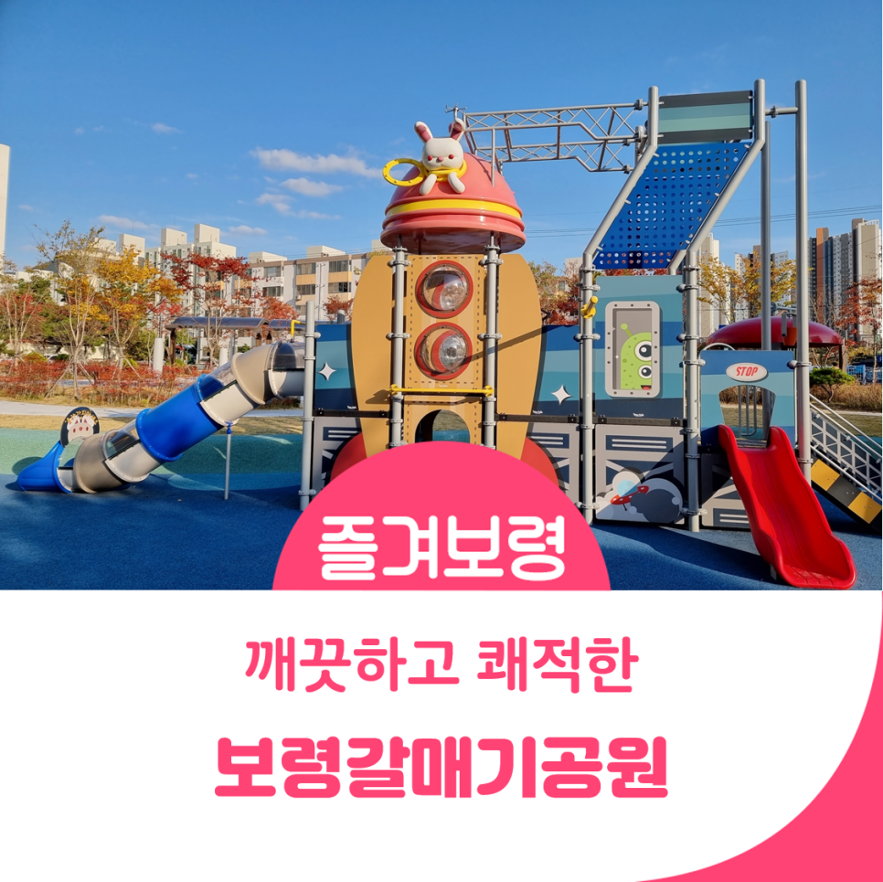 공원갈매기 이미지