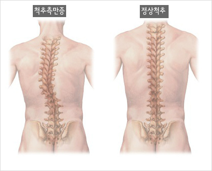 도수명가 이미지