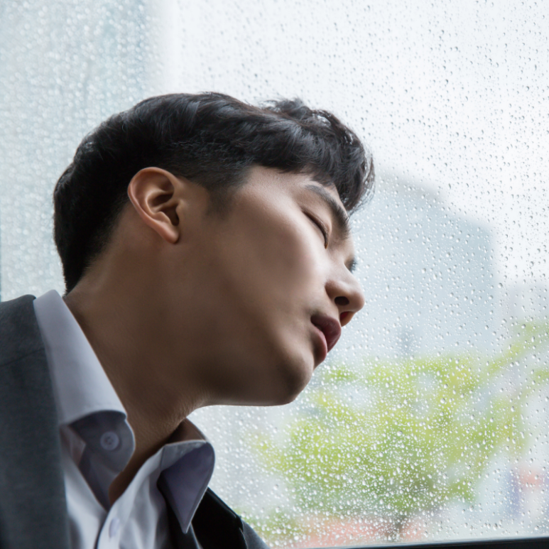 다원렌탈 이미지