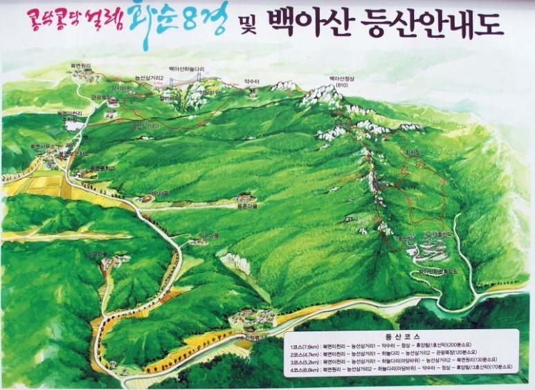 화순 김밥 이미지