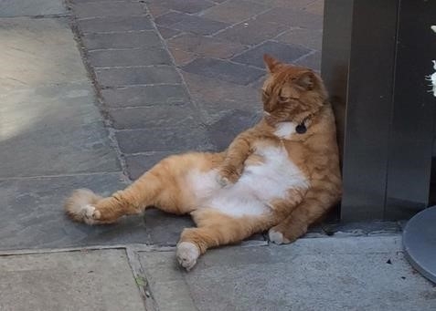 브릴랑 이미지
