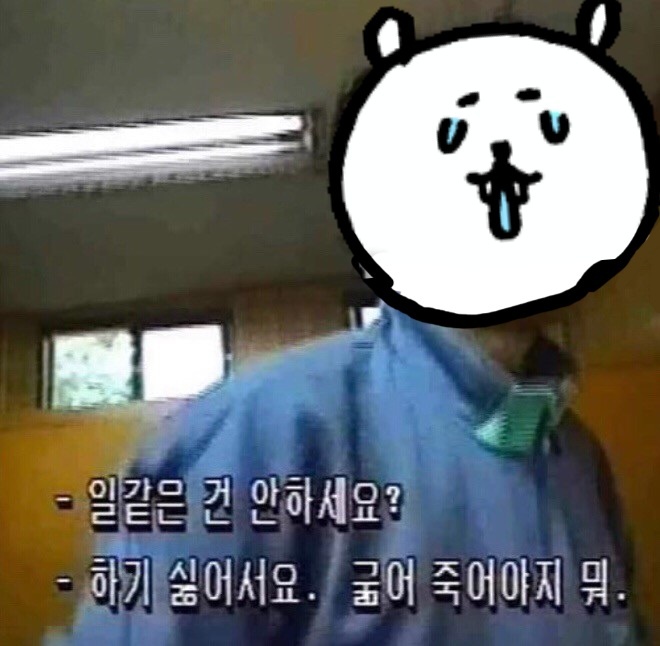 토라레스토랑 이미지
