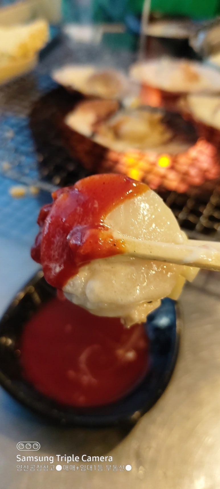 태양조개구이 이미지