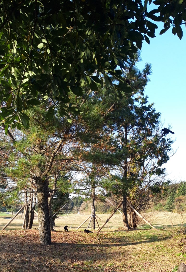 씨름왕순덕이네 사진 2