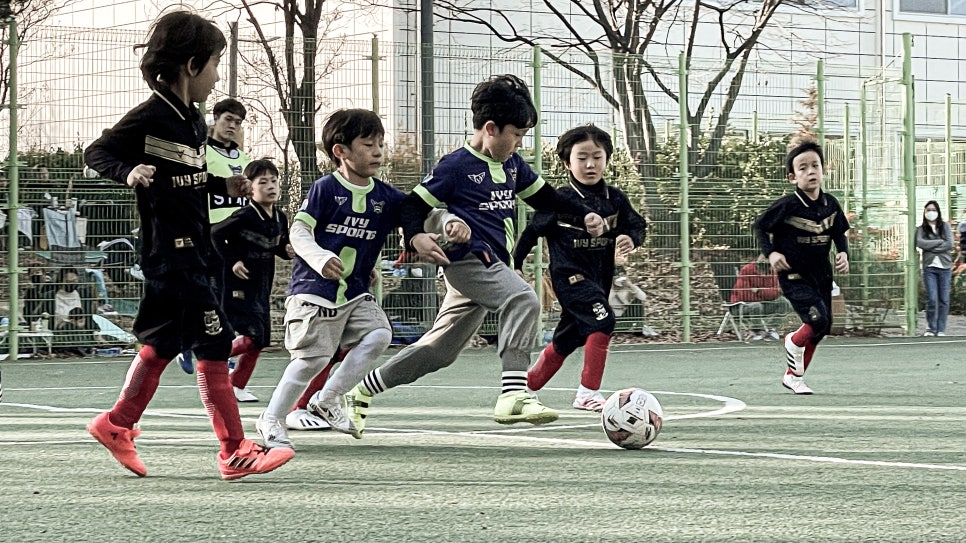 아이비센타 이미지