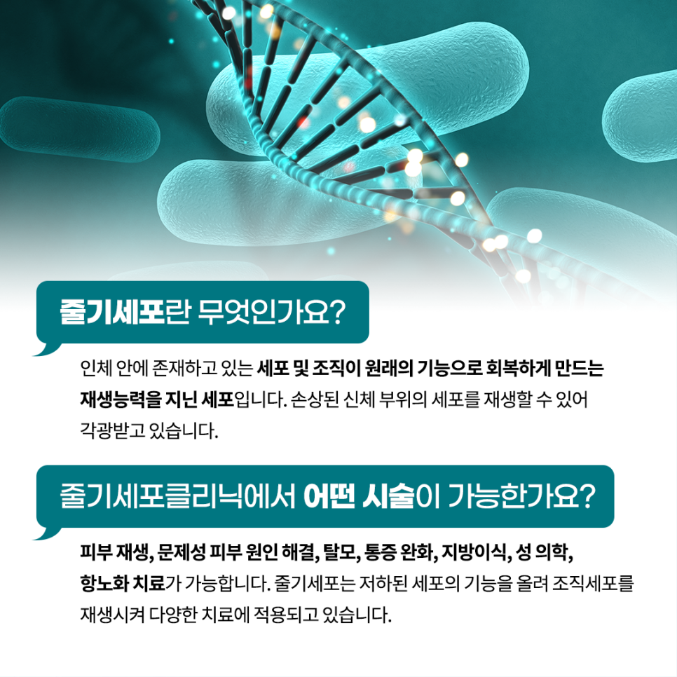 라온셀의원 이미지