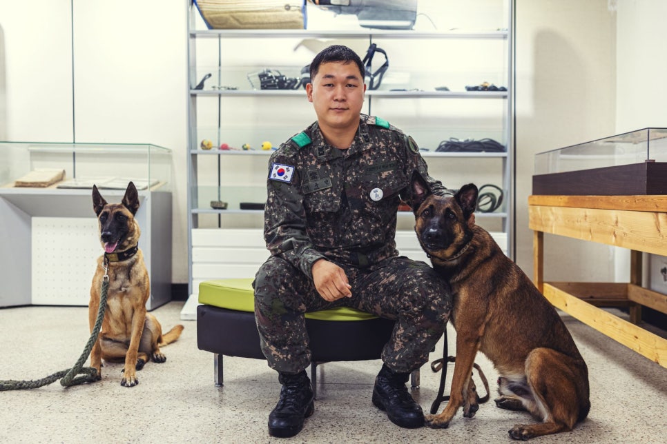 대민상사 이미지