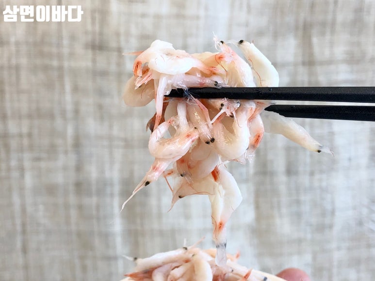 삼면이바다since1991 이미지