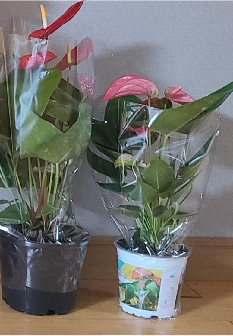 청포농원 이미지