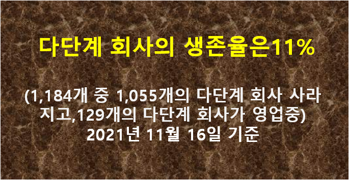 해피스타인터내셔널 이미지