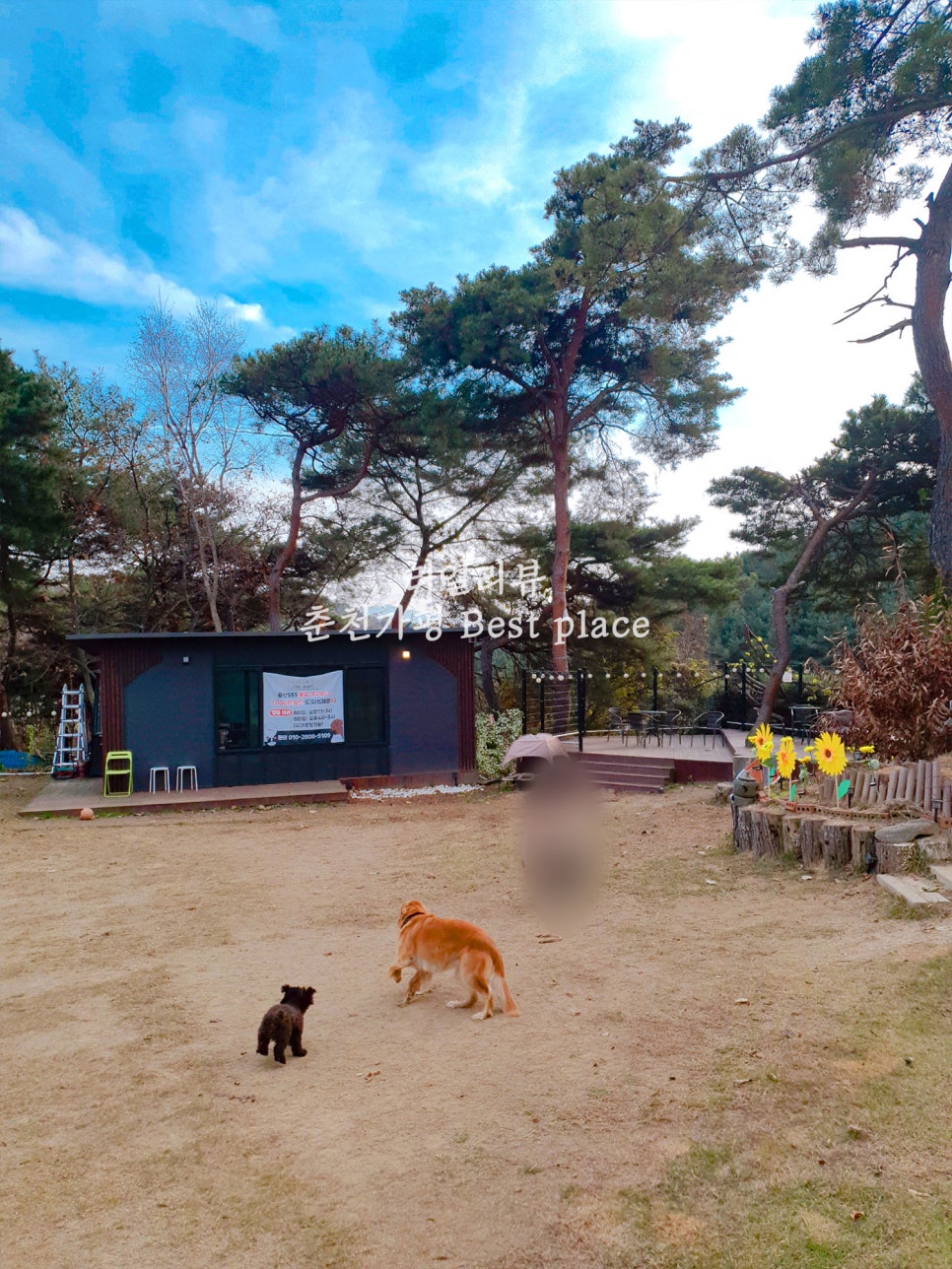 용산559 이미지