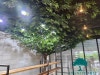 사무실인조나무 인테리어! 수원 명도닷컴에 푸른 조화올리브나무 설치 후기 ^^ : 네이버 블로그