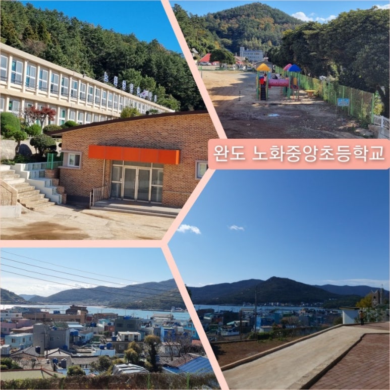 노화중앙초등학교 이미지
