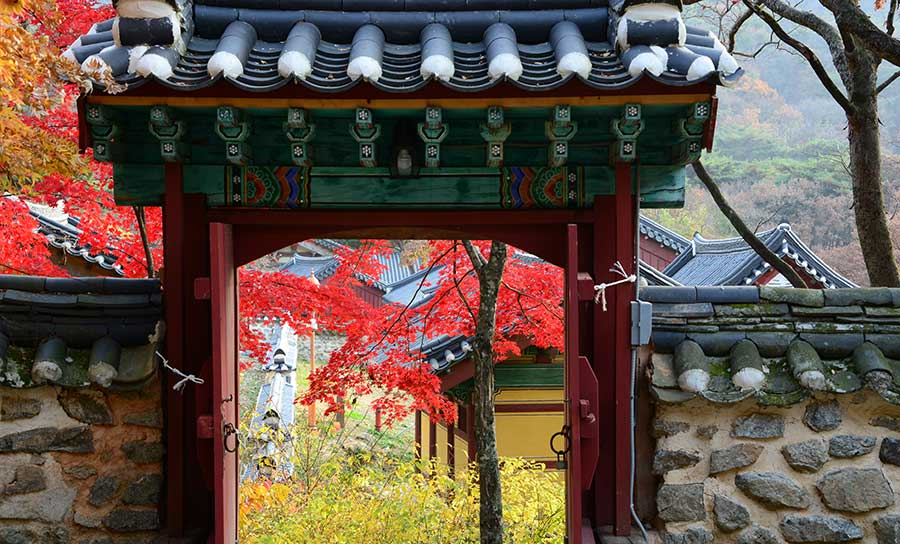 용궁칼국수샤브샤브 이미지