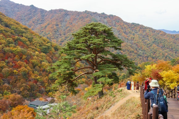 와운통나무산장가든 이미지