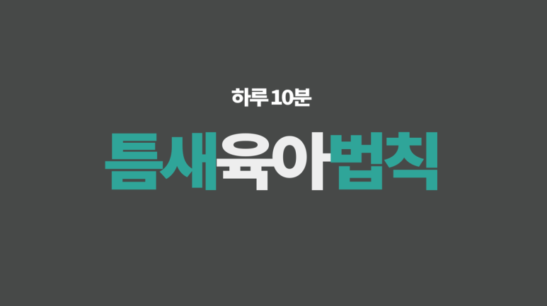 단비디자인 이미지