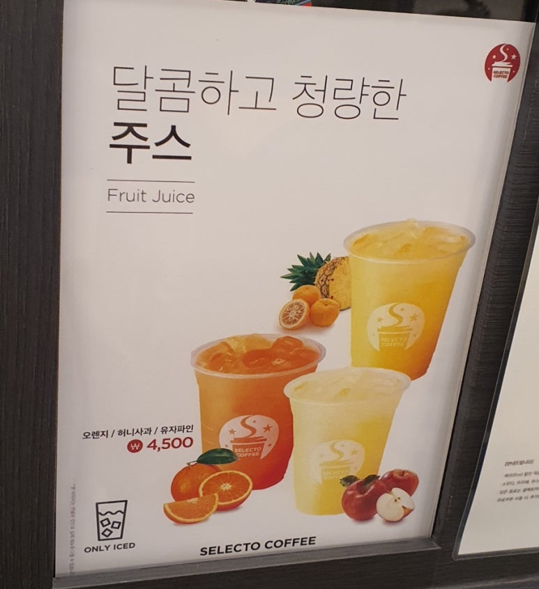 셀렉토커피속초교동점 이미지