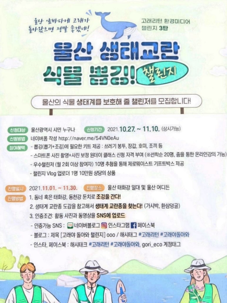 고래미디어센터 이미지
