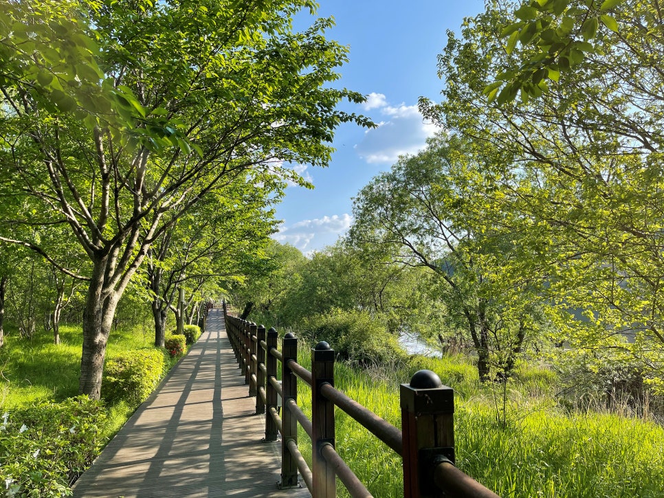 로하스캠핑 이미지