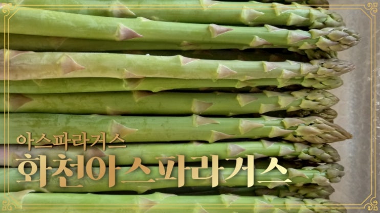 화천 아스파라거스 농장 이미지