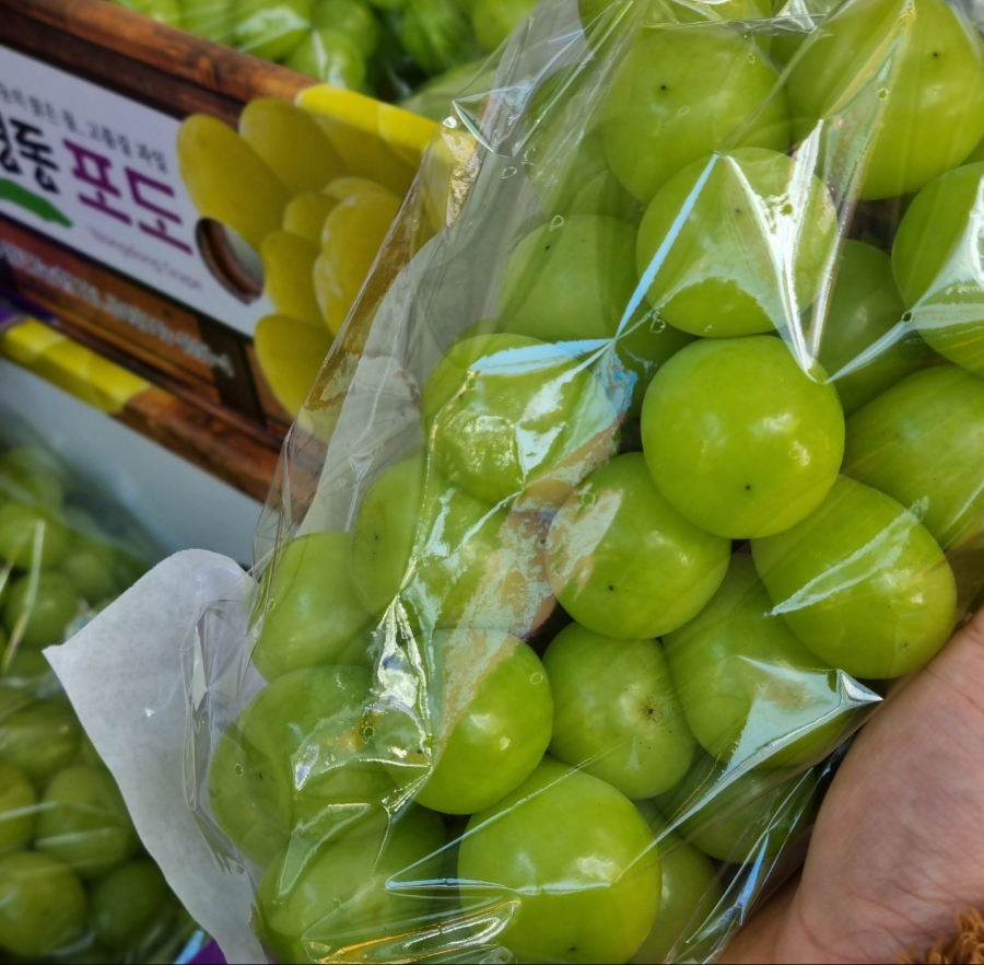 동팔이네 이미지