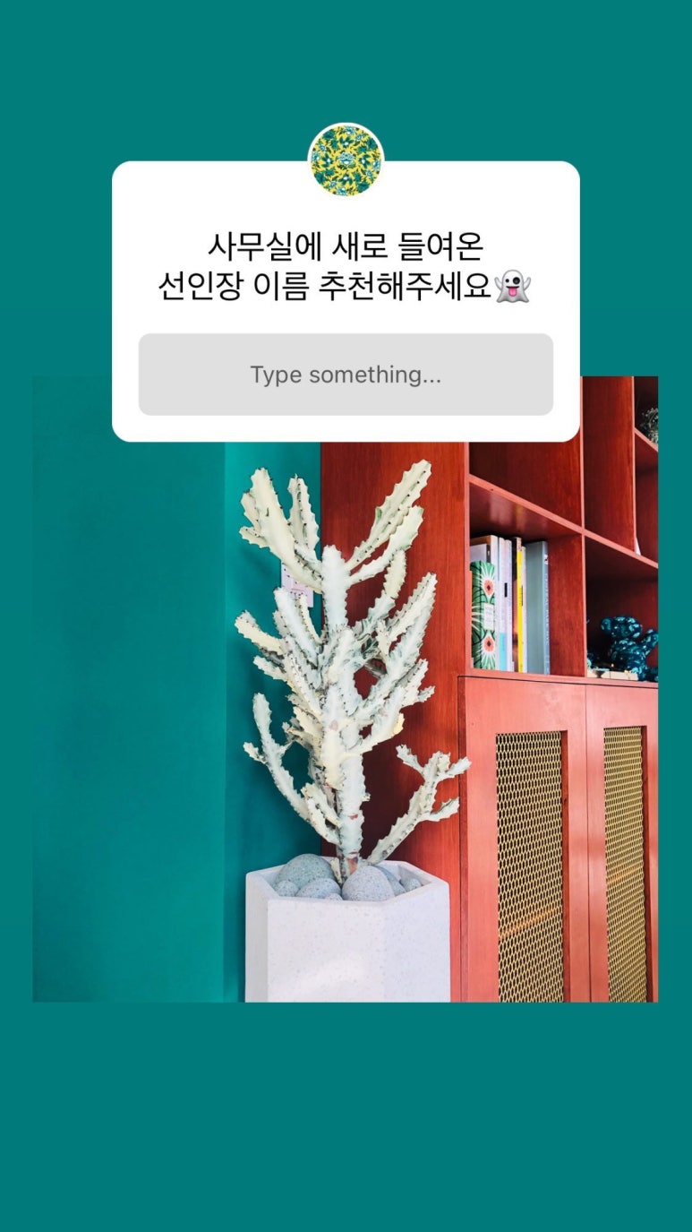 로야마드(ROYAMAD) 이미지