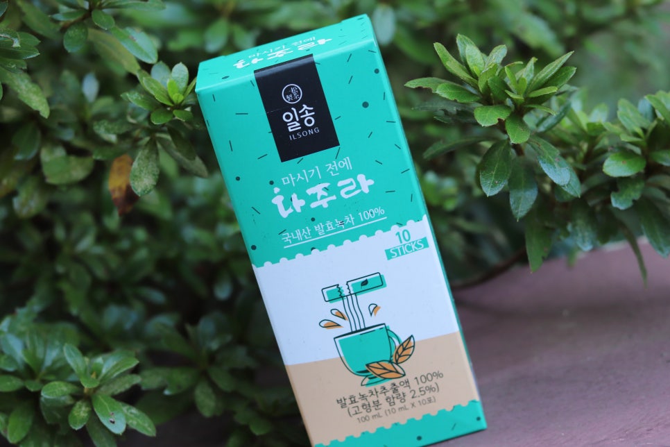 일송제다 이미지