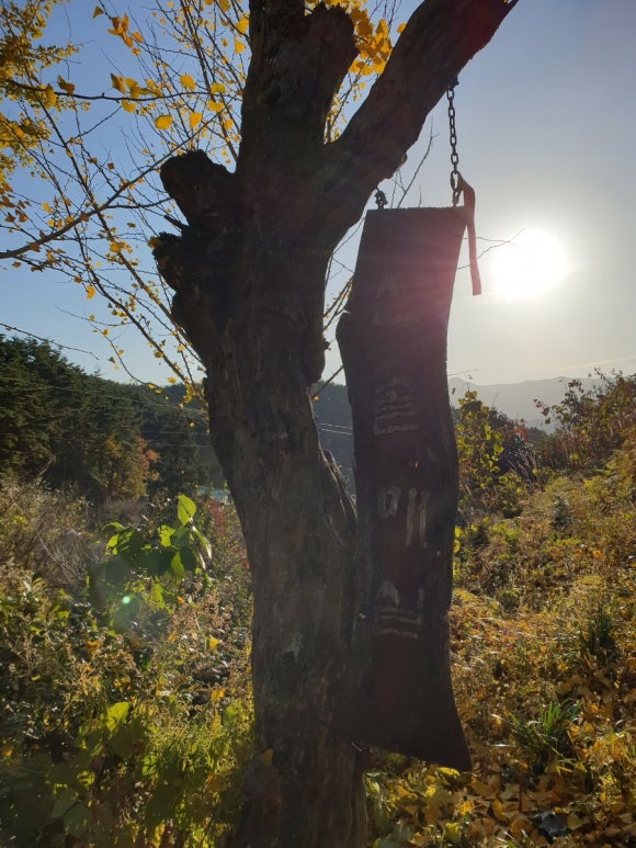 지리산 산골농원 이미지