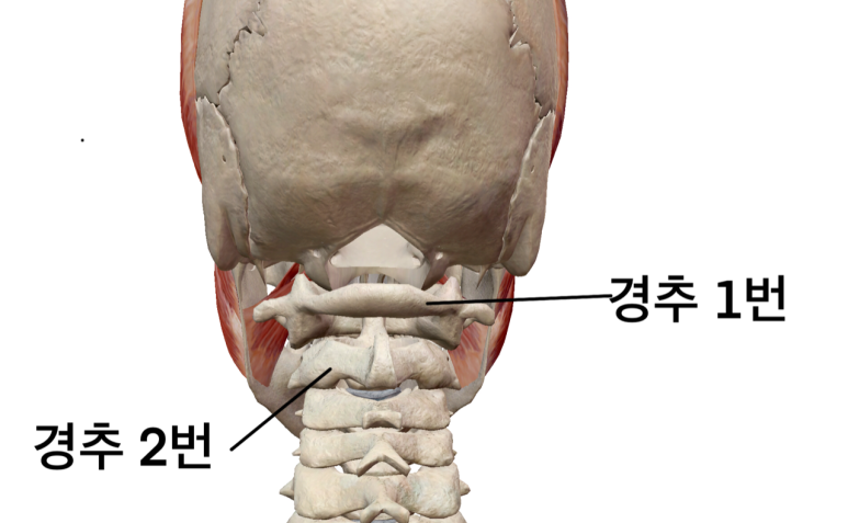 화목한의원 이미지