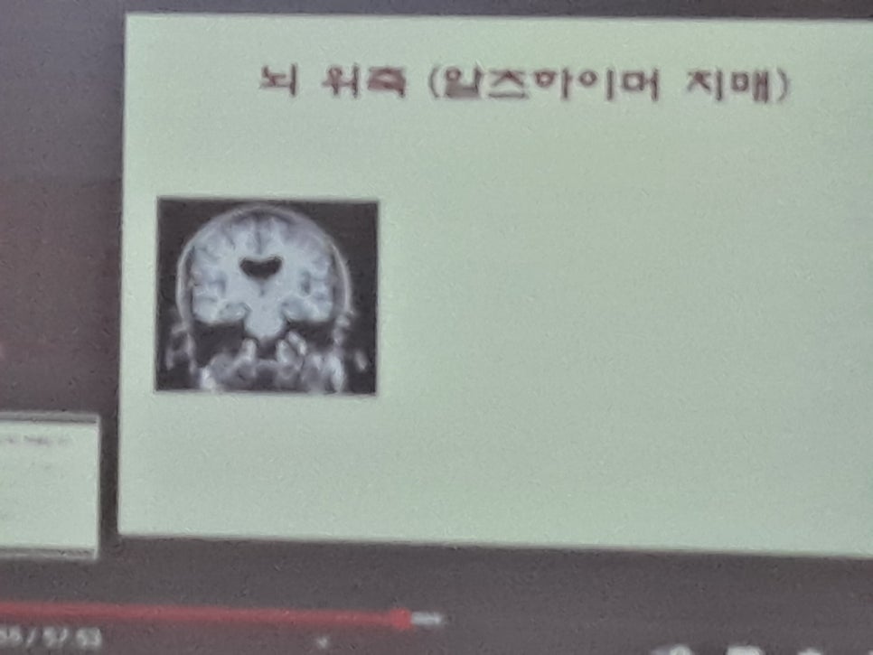 실버건강요양보호사교육원 이미지