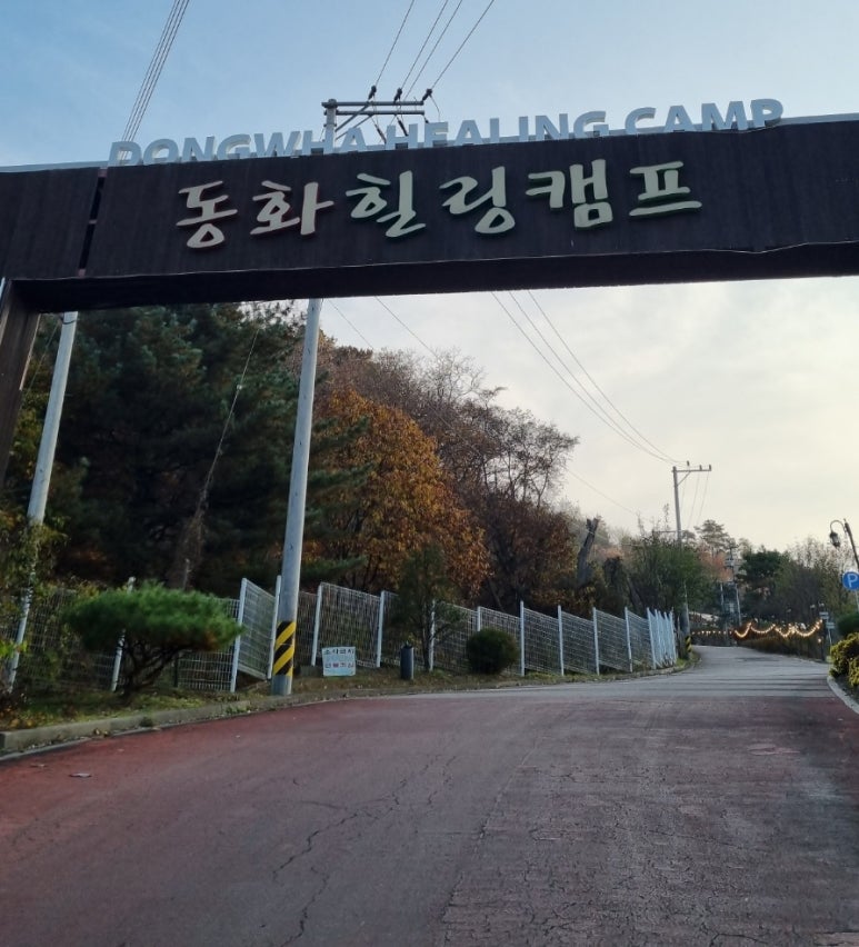 아기동물카페 이미지